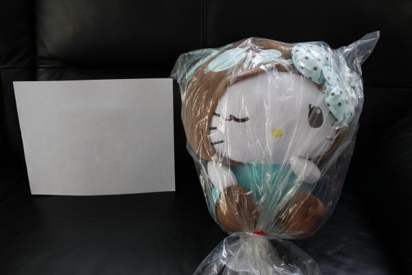 Hello Kitty mint panda plush