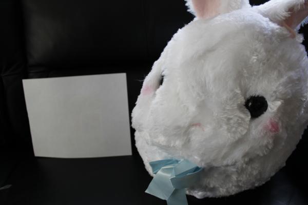 Bunny plush picture