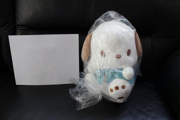 Pochacco mint choco plush