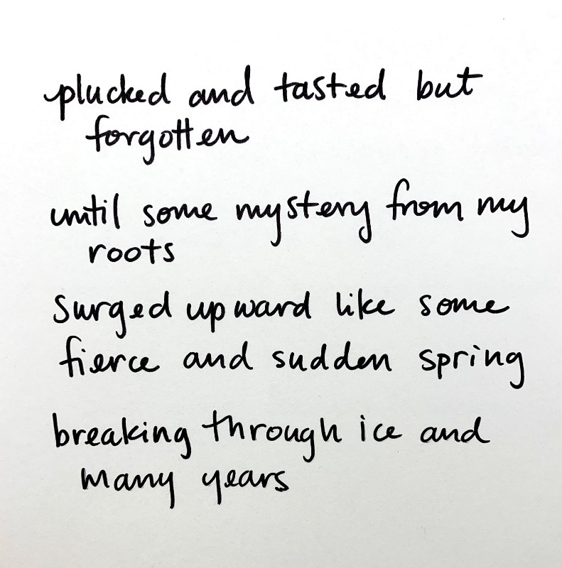 Sudden Spring picture