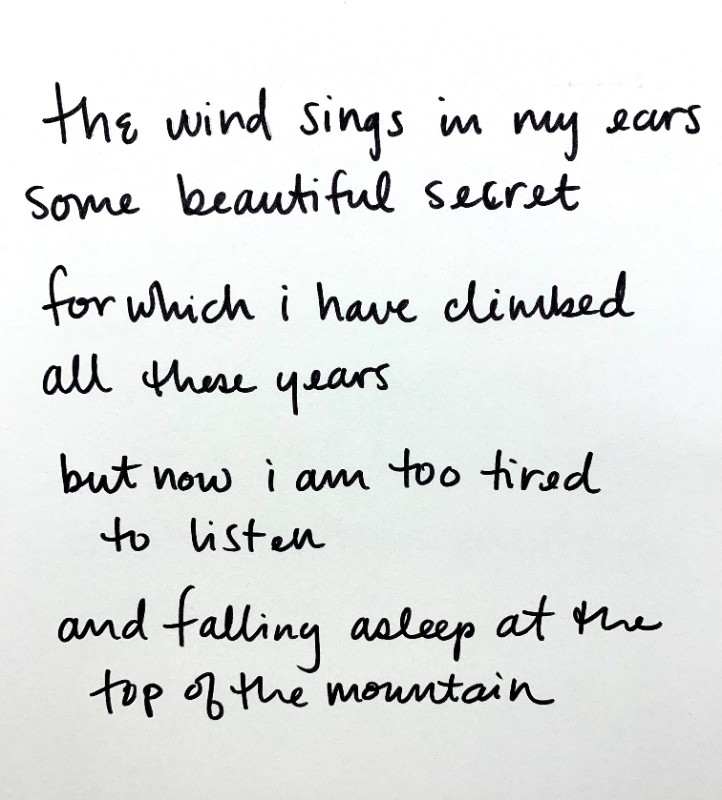 Beautiful Secret picture