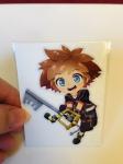 sora