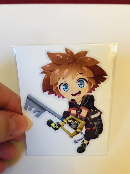 sora picture