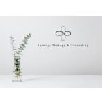Synergy Therapy and Counseling LLC