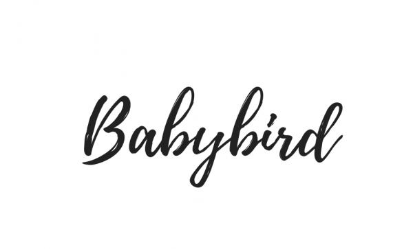 BabyBird