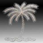 Palm Tree On A Beach