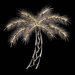 Palm Tree