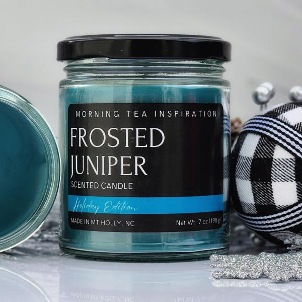 Frosted Juniper Scented Candle