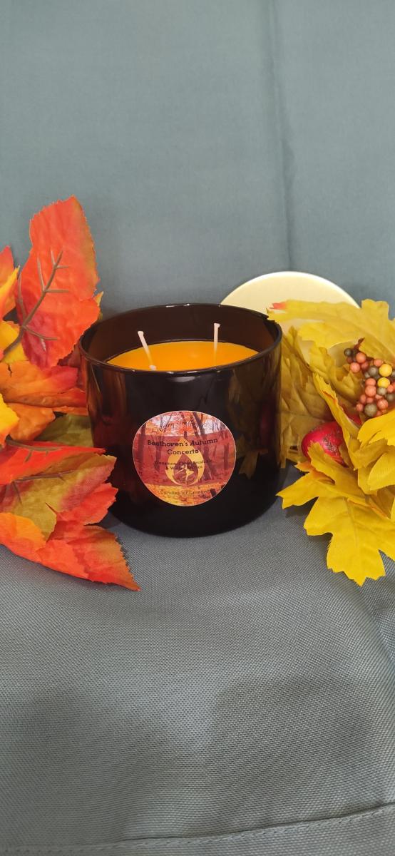 Beethoven's Autumn Concerto picture