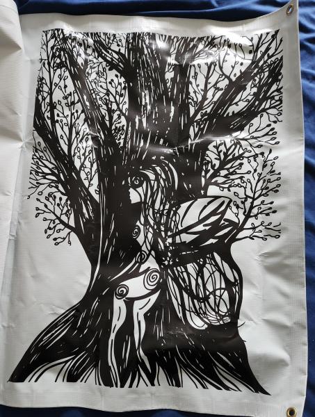 The Silver Oak Faerie