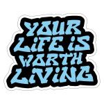 Underwater FlyZone LLC. (YOUR LIFE IS WORTH LIVING)