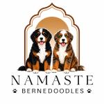 Namaste Bernedoodles