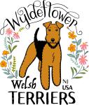 Wyldeflower Finds
