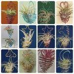 The Twisted Sprout by GiGi