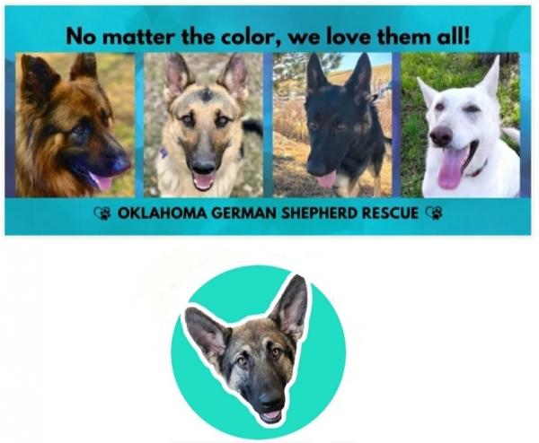 Oklahoma German Shepherd Rescue