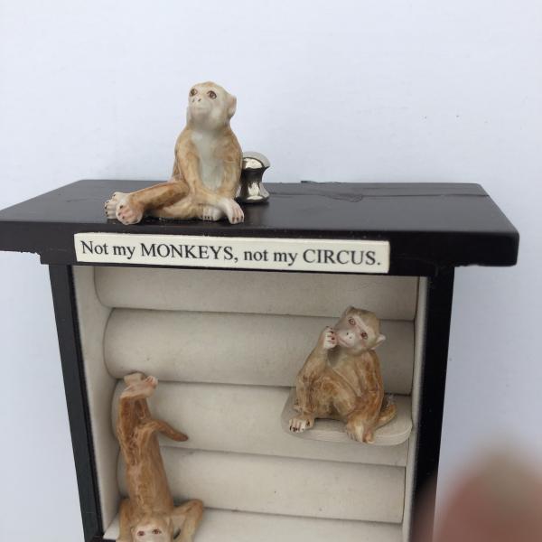 Not my Monkeys, not my Circus picture