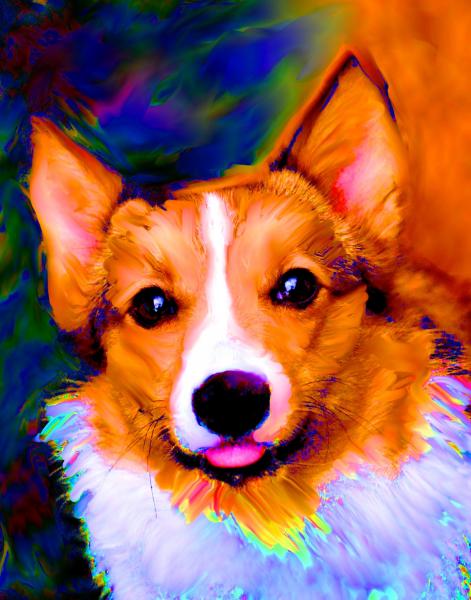 Da Tongue Corgi picture