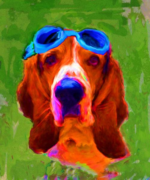 Biker Basset Hound picture