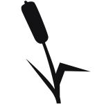 Typha Games