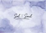 Sol to Soul Astrology & Animal Communication