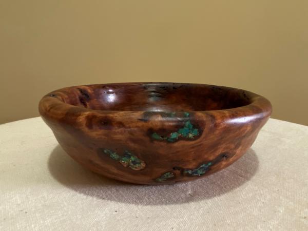 Straight edge Eucalyptus burl with Turquoise and Copper shavings inlay #28
