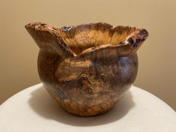 Natural edge Maple burl bowl with Turquoise and Copper inlay #22 picture
