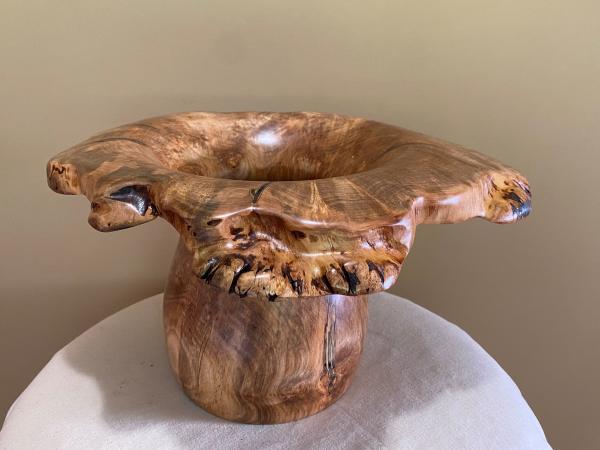 Natural edge ambrosia Maple winged bowl #30 picture