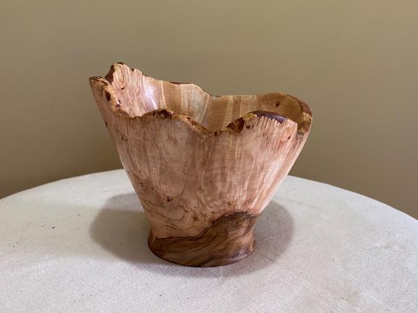 natural edge spalted Maple bowl #32 picture