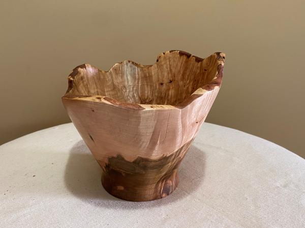 natural edge spalted Maple bowl #32 picture
