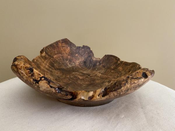 Natural edge spalted Maple burl bowl   #14
