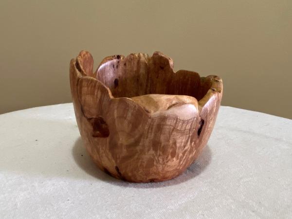 Natural edge Big Leaf Maple burl bowl #29 picture