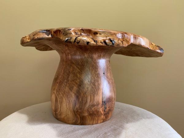 Natural edge ambrosia Maple winged bowl #30