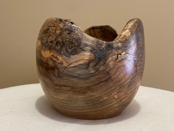 Natural Edge spalted Maple bowl   #11 picture