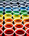 Jello shot 4 for $5