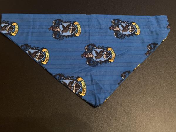 Large Pet Bandanas picture