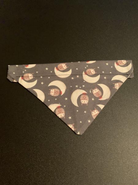 Small Pet Bandanas picture