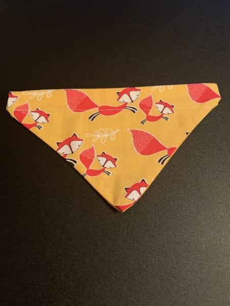 Small Pet Bandanas picture