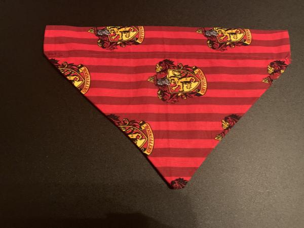 Medium Pet Bandanas picture