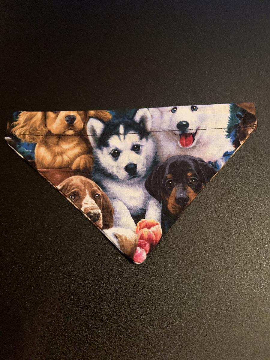 Small Pet Bandanas picture