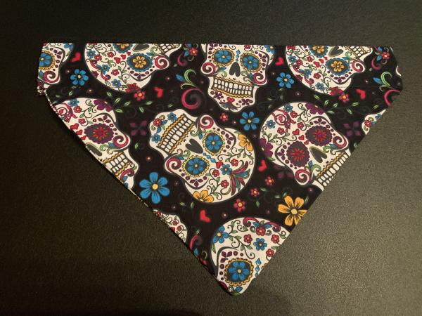 Medium Pet Bandanas picture