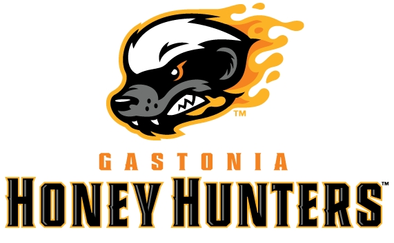 Gastonia Honey Hunters