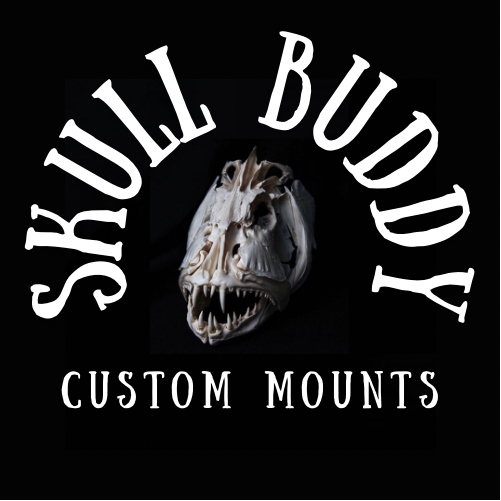 Skull Buddy