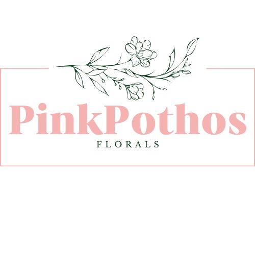PinkPothos