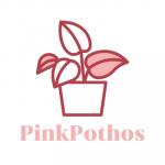 PinkPothos