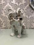 Porcelain Figurine Model Of Bolognese Dog