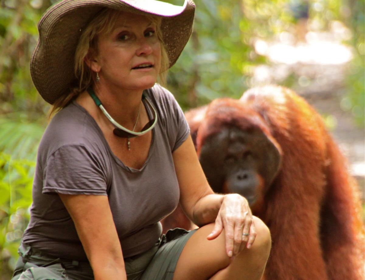 PROTECT OR LOSE picture