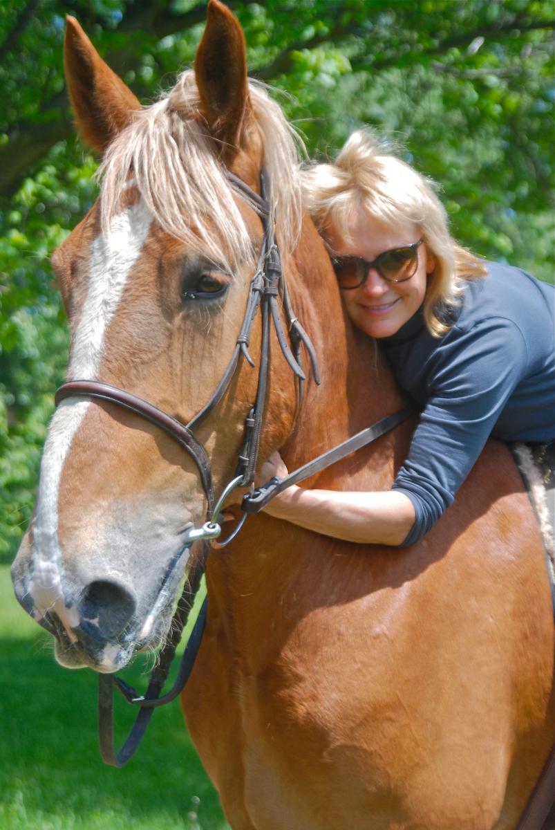 THE THREE AGES OF HORSE picture