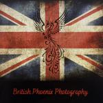 British Phoenix Photography