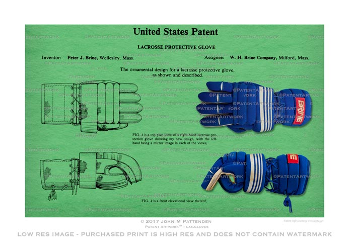 Lacrosse Gloves picture