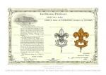 Boy Scout Badge